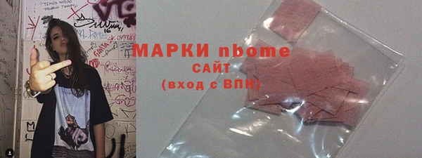 индика Баксан
