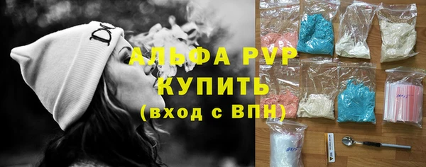 индика Баксан