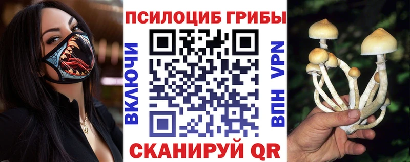 Галлюциногенные грибы прущие грибы  Спасск-Рязанский 
